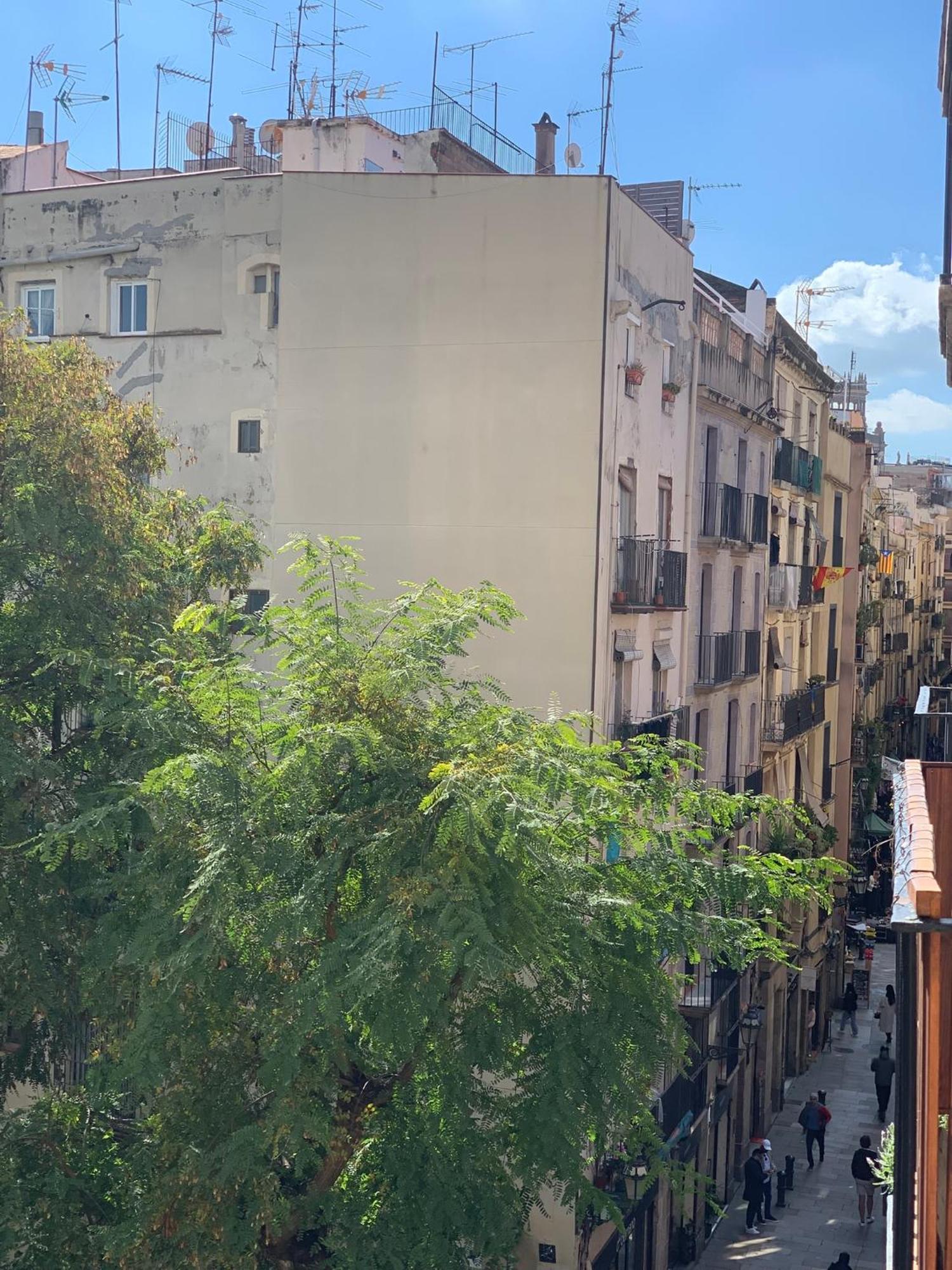 Cozy Becky Born Apartment Barcelona